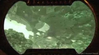 Mandelbox Fractal Trip 2