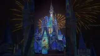 Disney World | Magic Kingdom Park | Walt Disney World | Disney Fire Works | Orlando Florida