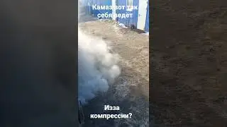 3 февраля 2023 г.