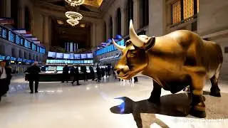 vai tourinho #investing #trading #trader #forex #bitcoin #shorts