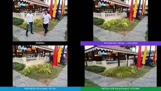 Remove People & Objects from ANY Video with AI — VOID API Tutorial (3 Engines Compared)