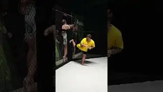 #shorts #mma #ufc #кудо #самбо #кикбоксинг #рукопашныйбой #смешанныеединоборства