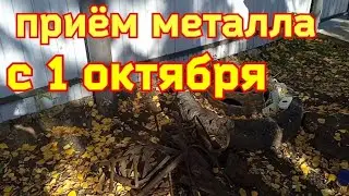 СДАЧА МЕТАЛЛА ПОСЛЕ ВСТУПЛЕНИЯ ЗАКОНА В СИЛУ.!!!!!