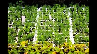 Садовые бирки, маркеры для растений | Garden plant markers