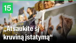 Turkai protestavo prieš „kruviną“ įstatymą: valdžia siekia atsikratyti milijonu benamių šunų