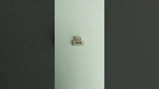 Котик в шапке зайчика из бисера 