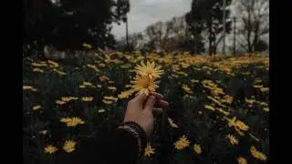xxxtentacion - hope (slowed + reverb + 3d)