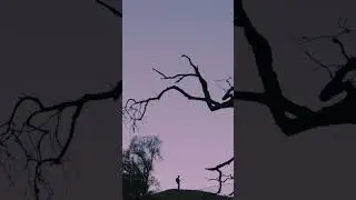 #DayTripper