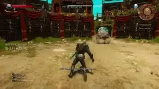 The Witcher 3 - How To Beat The Shaelmaar