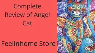 Special Drill Angel Cat...Full Review