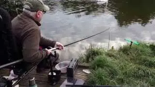 Another Carp on the Margin Pole