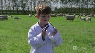 Cool Science Explained: Episode 1