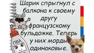 Анекдоты про собак ТОП-10