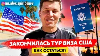 Работа в США без документов / Переезд в США / Иммиграция в США