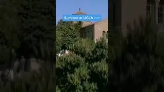 Happy first day of summer! ☀️#summer #summervibes #college