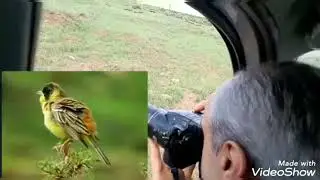 round trip to Alburz mountains.Taleghan.Iran.