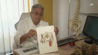 Najčešće ozljede prilikom trčanja - Za život bez boli - Prim.dr. Miroslav Buljan