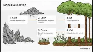 10. Sınıf Biyoloji 2. Dönem 1. Yazılı Provası | Örnek Soru Çözümü & Taktikler 💯