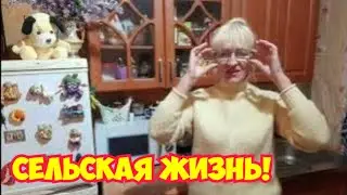 Что купили.Готовлю беляши.Рассада.Куриный роддом.
