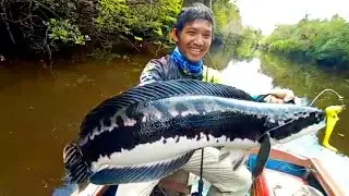 Strike mama toman big size sungai kalimantan