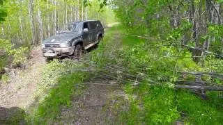Toyota Hilux Surf 130 и Chevrolet Niva
