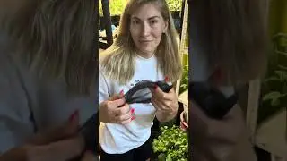 БЮДЖЕТНЫЕ ПОДДОНЫ ИЛИ КАК ЗАЩИТИТЬ СТЕЛЛАЖ #огород #сад #garden
