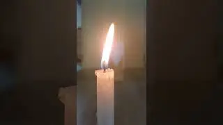 Convex Lens in Action!!!! #cbse10physics