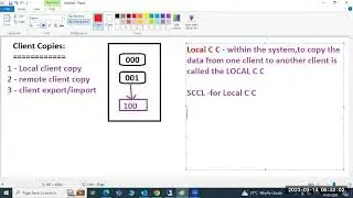 SAP Basis - Client Administration ( Local client copy & RFC Administration)