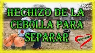 Hechizo con CEBOLLA para ROMPER una relación utilizando MAGIA BLANCA...!!!