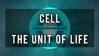 Cell: The Unit Of Life (Cell Types, Eukaryotic and Prokaryotic cell components and organelles)