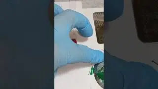дизайн на осень