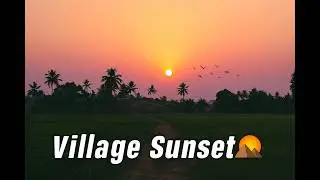 🌇 Village Sunset | Feels Better Than Hill Station |#sunsetview #sunsetvideos #sunsetphotography