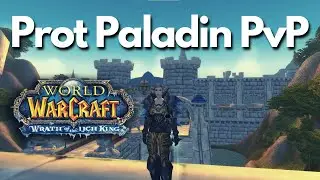 Warriors consider me Immortal | Prot Paladin WOTLK PvP