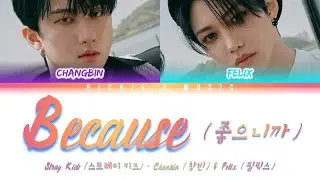 Stray Kids (스트레이 키즈) CHANGBIN & FELIX - Because (좋으니까) [Color Coded Lyrics Han|Rom|Eng]