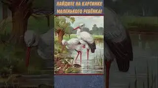 НАЙДИТЕ НА КАРТИНКЕ МАЛЕНЬКОГО РЕБЁНКА!  ГОЛОВОЛОМКИ И ЗАДАЧКИ!