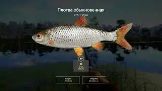 Русская рыбалка 4, острог плотва,