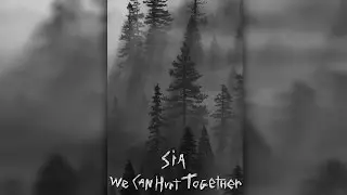 We Can Hurt Together - Sia (Acoustic Cover)