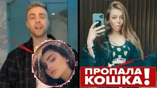 ЕГОР КРИД ХЕЙТИТ ДИНУ САЕВУ l У МАШИ МАЕВОЙ ПРОПАЛА КОШКА