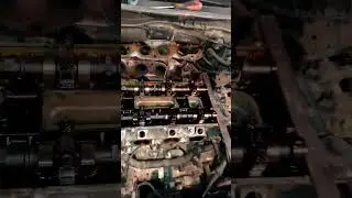 Разборка полным ходом