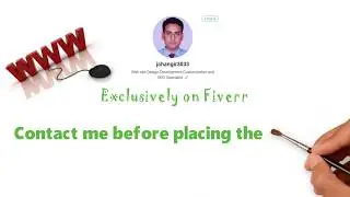 fiverr wordpress developer