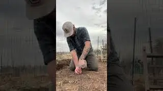 Garden Maintenance with the Center-Drive 