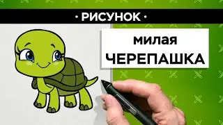 Как нарисовать милую ЧЕРЕПАШКУ
