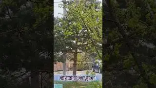 Снег в мае месяце. Это не май, а какой-то МАЯБРЬ. 