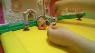 петшопы