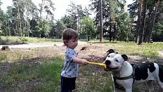 Аккуратно стафф и ребенок