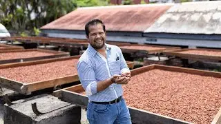 Day at Crayfish Bay & Mount Edgecombe Estate - Grenada Chocolate Fest 2023