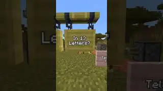 Can you write? #minecraft #memes #riddles