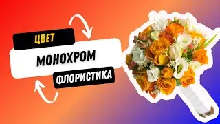 Почему Розового и Голубого Цвета Не Существует: Теория Цветов во Флористике #школафлористики