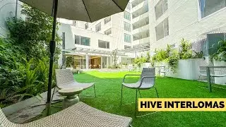 HIVE INTERLOMAS - CDMX