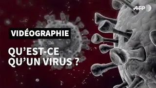 Qu’est-ce qu’un virus? | AFP